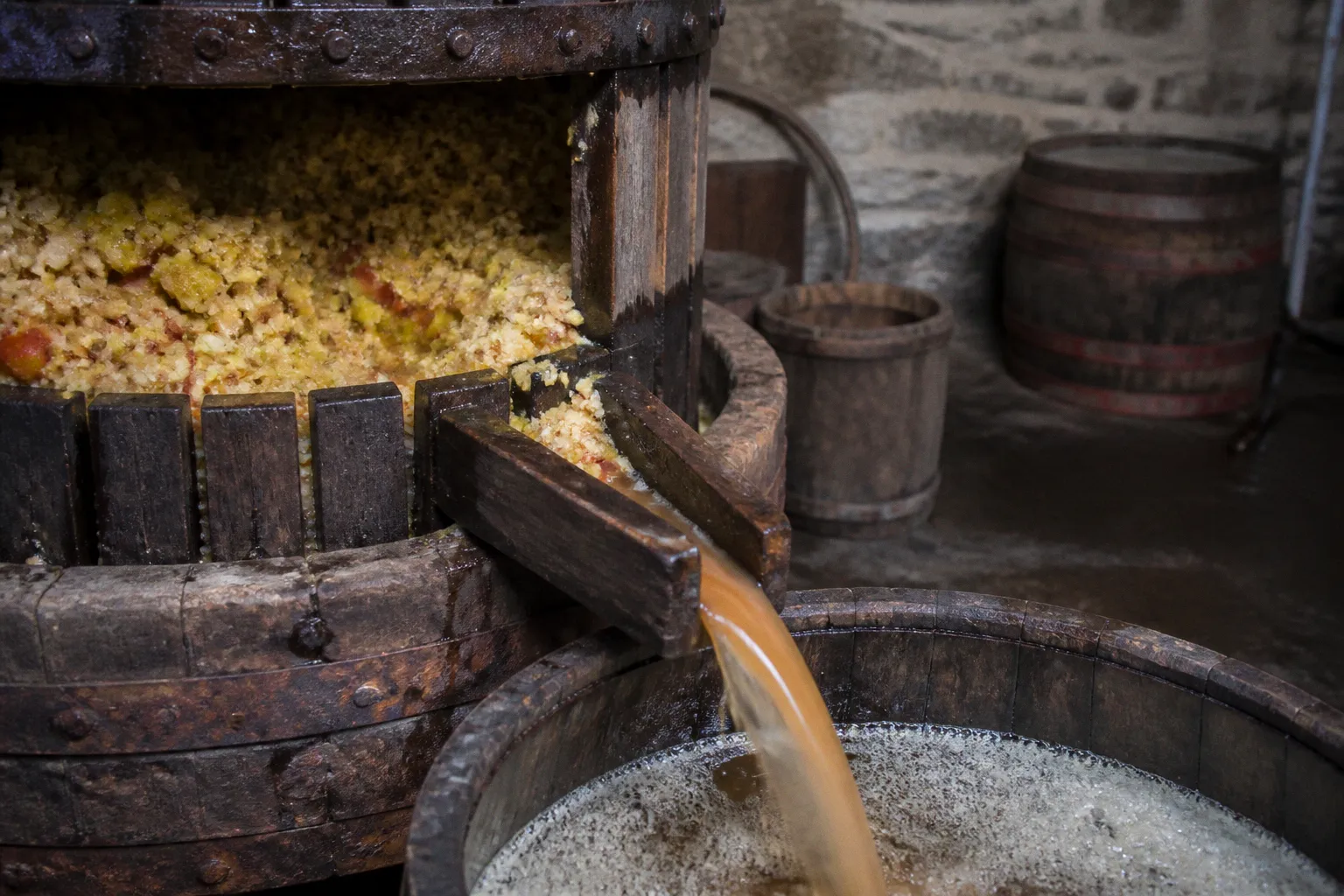 Cidre AOP du Pays d'Auge : les secrets de sa fermentation