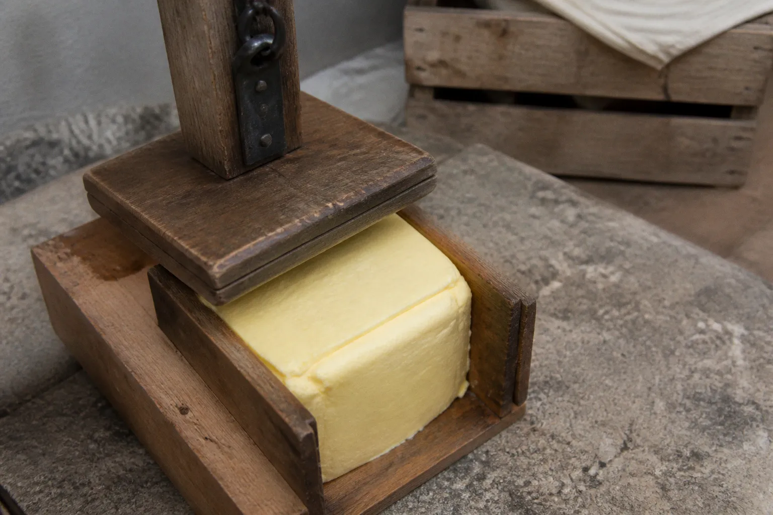 Crème d'Isigny AOP : les secrets de sa maturation lente